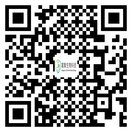 手機(jī)端瀏覽網(wǎng)站